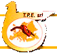 tpe.png
